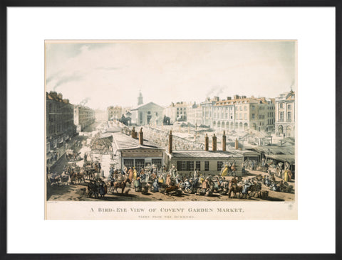 A Bird's Eye View of Covent Garden Market Taken from the Hummums 1811