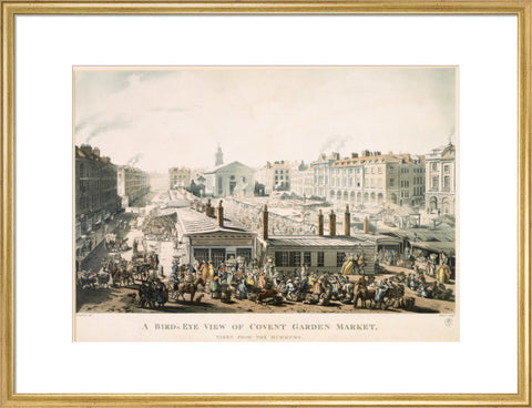 A Bird's Eye View of Covent Garden Market Taken from the Hummums 1811