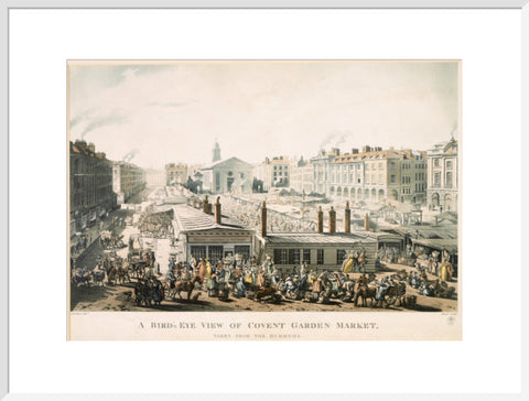 A Bird's Eye View of Covent Garden Market Taken from the Hummums 1811