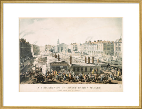 A Bird's Eye View of Covent Garden Market Taken from the Hummums 1811