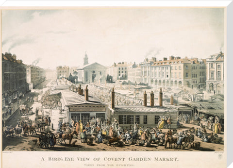 A Bird's Eye View of Covent Garden Market Taken from the Hummums 1811