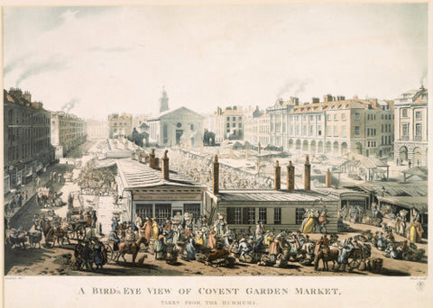 A Bird's Eye View of Covent Garden Market Taken from the Hummums 1811