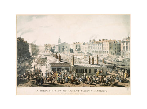 A Bird's Eye View of Covent Garden Market Taken from the Hummums 1811