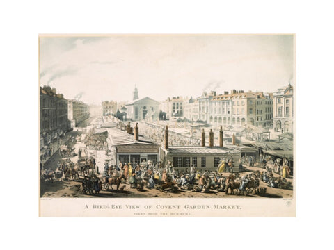 A Bird's Eye View of Covent Garden Market Taken from the Hummums 1811