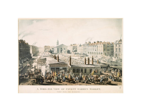 A Bird's Eye View of Covent Garden Market Taken from the Hummums 1811