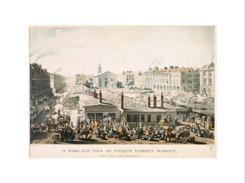 A Bird's Eye View of Covent Garden Market Taken from the Hummums 1811