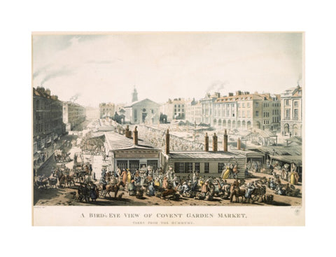 A Bird's Eye View of Covent Garden Market Taken from the Hummums 1811