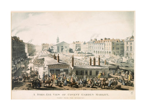 A Bird's Eye View of Covent Garden Market Taken from the Hummums 1811