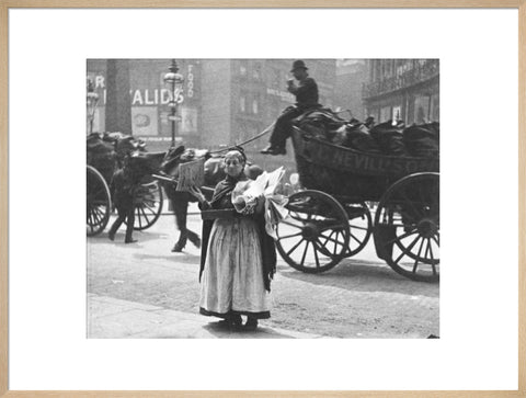 Magazine seller 1893