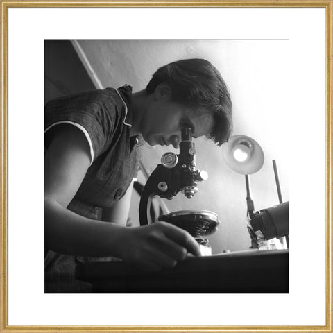 Rosalind Franklin at work in a laboratory 1954