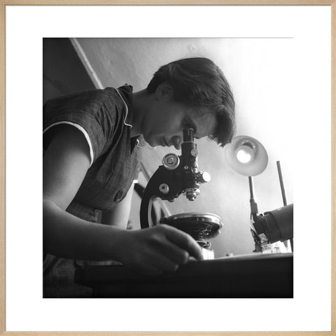Rosalind Franklin at work in a laboratory 1954