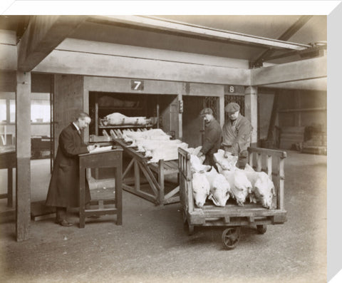 Refrigerated New Zealand lamb Royal Victoria Dock c. 1920