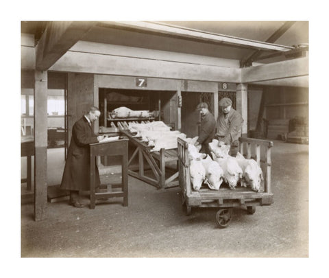 Refrigerated New Zealand lamb Royal Victoria Dock c. 1920