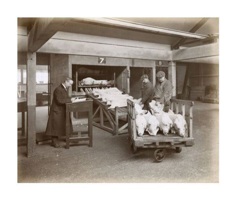 Refrigerated New Zealand lamb Royal Victoria Dock c. 1920