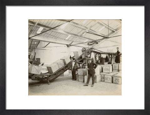 Tea on a conveyor system Tilbury Docks c. 1920