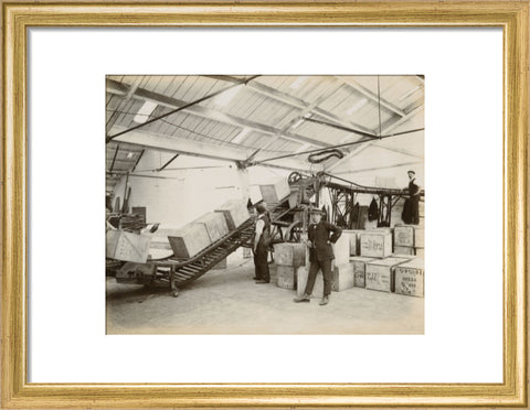 Tea on a conveyor system Tilbury Docks c. 1920