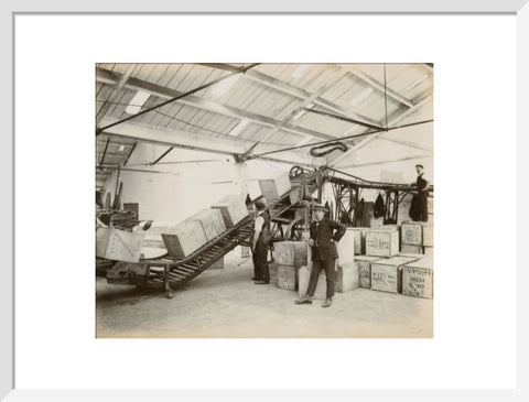 Tea on a conveyor system Tilbury Docks c. 1920