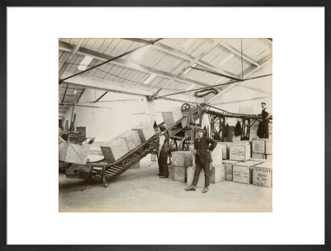 Tea on a conveyor system Tilbury Docks c. 1920