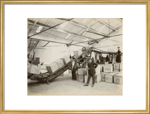 Tea on a conveyor system Tilbury Docks c. 1920