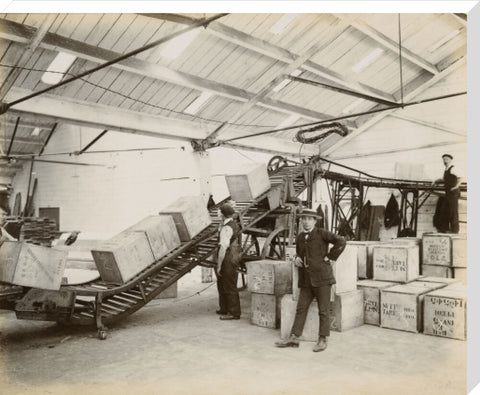 Tea on a conveyor system Tilbury Docks c. 1920