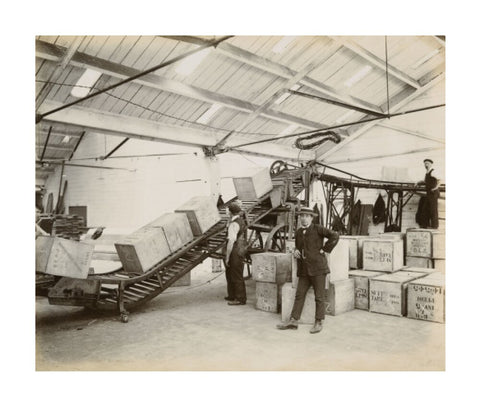 Tea on a conveyor system Tilbury Docks c. 1920