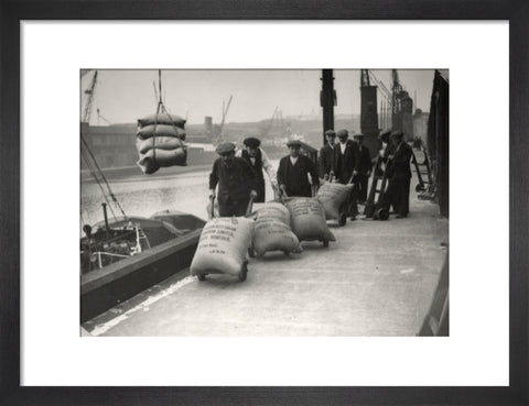 Dockers at West Dock London Dock 1920