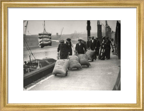 Dockers at West Dock London Dock 1920