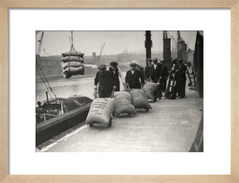 Dockers at West Dock London Dock 1920