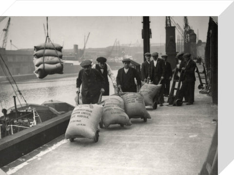 Dockers at West Dock London Dock 1920