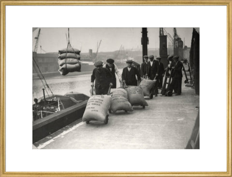 Dockers at West Dock London Dock 1920