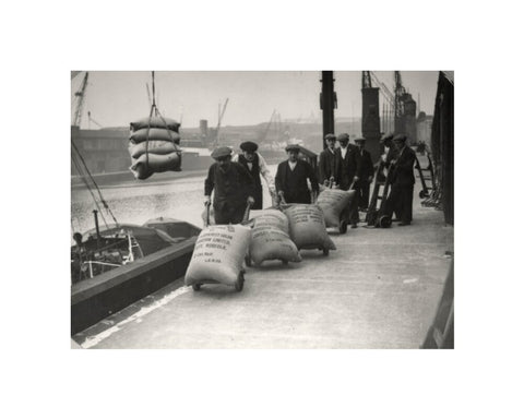 Dockers at West Dock London Dock 1920