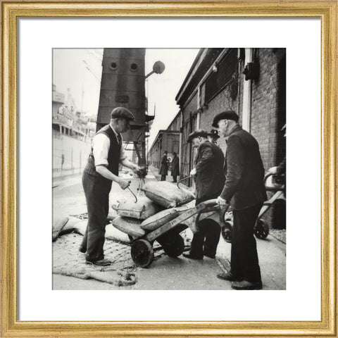 London dockers 1950