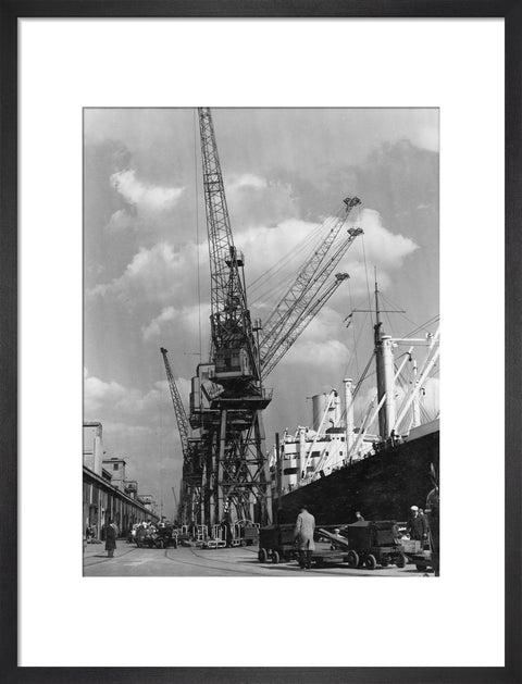 Discharging cargo Royal Albert Dock 20th Century