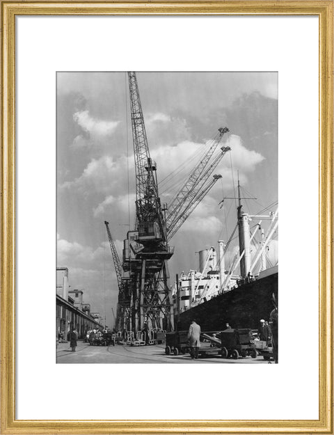 Discharging cargo Royal Albert Dock 20th Century