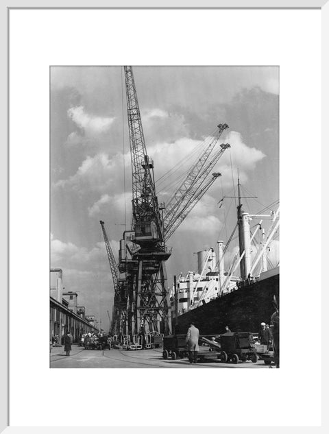 Discharging cargo Royal Albert Dock 20th Century