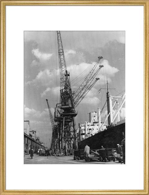 Discharging cargo Royal Albert Dock 20th Century