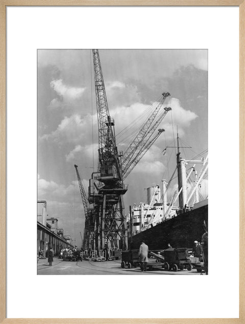 Discharging cargo Royal Albert Dock 20th Century