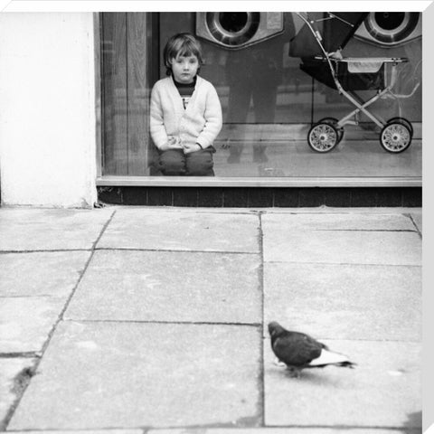 Boy watching a pigeon in Boreham Wood c.1965