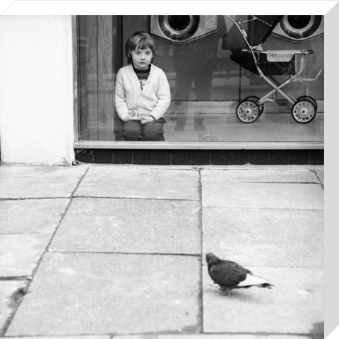 Boy watching a pigeon in Boreham Wood c.1965