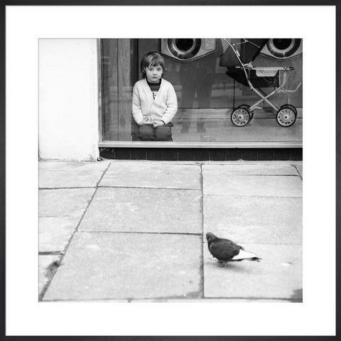 Boy watching a pigeon in Boreham Wood c.1965