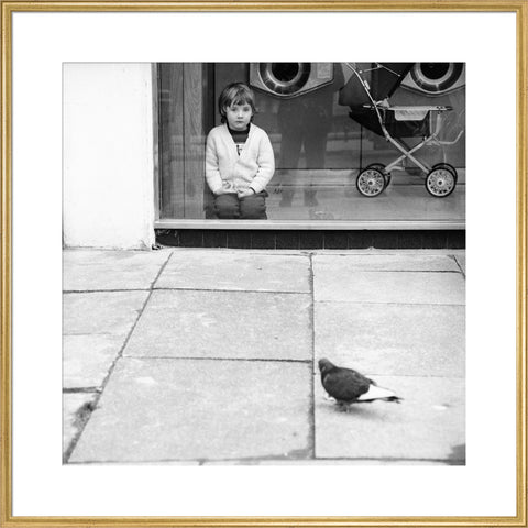 Boy watching a pigeon in Boreham Wood c.1965