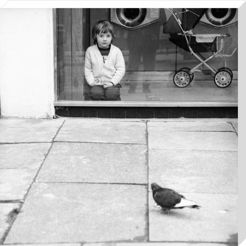 Boy watching a pigeon in Boreham Wood c.1965