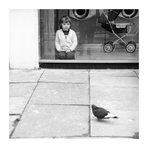 Boy watching a pigeon in Boreham Wood c.1965