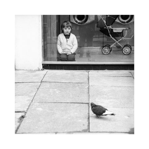 Boy watching a pigeon in Boreham Wood c.1965