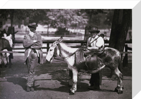 A donkey for hire on Clapham Common c.1877