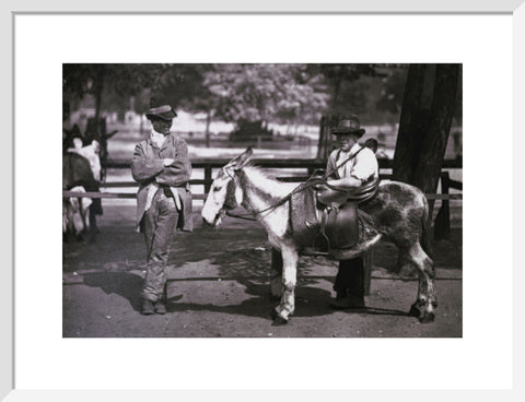 A donkey for hire on Clapham Common c.1877