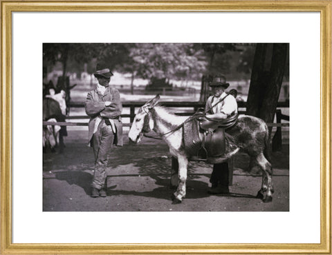 A donkey for hire on Clapham Common c.1877