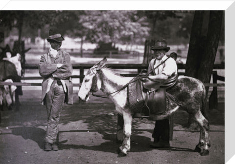 A donkey for hire on Clapham Common c.1877