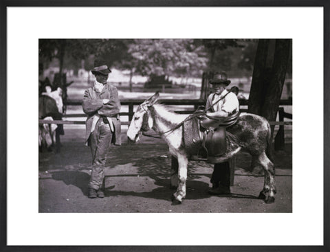 A donkey for hire on Clapham Common c.1877