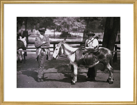 A donkey for hire on Clapham Common c.1877